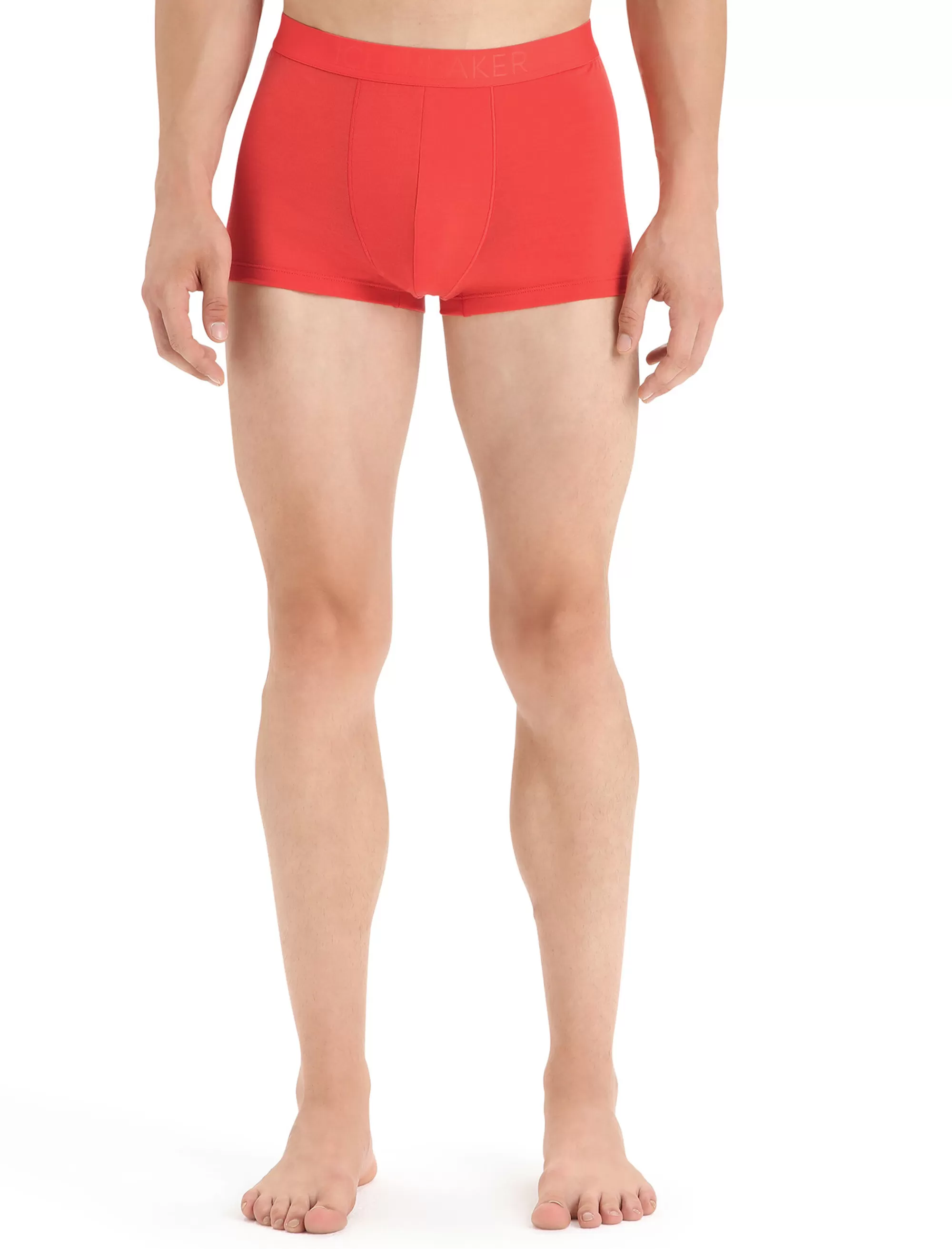 Store Icebreaker Cool-Lite™ Merino Anatomica Trunk Shorts Herren Vibrant Earth