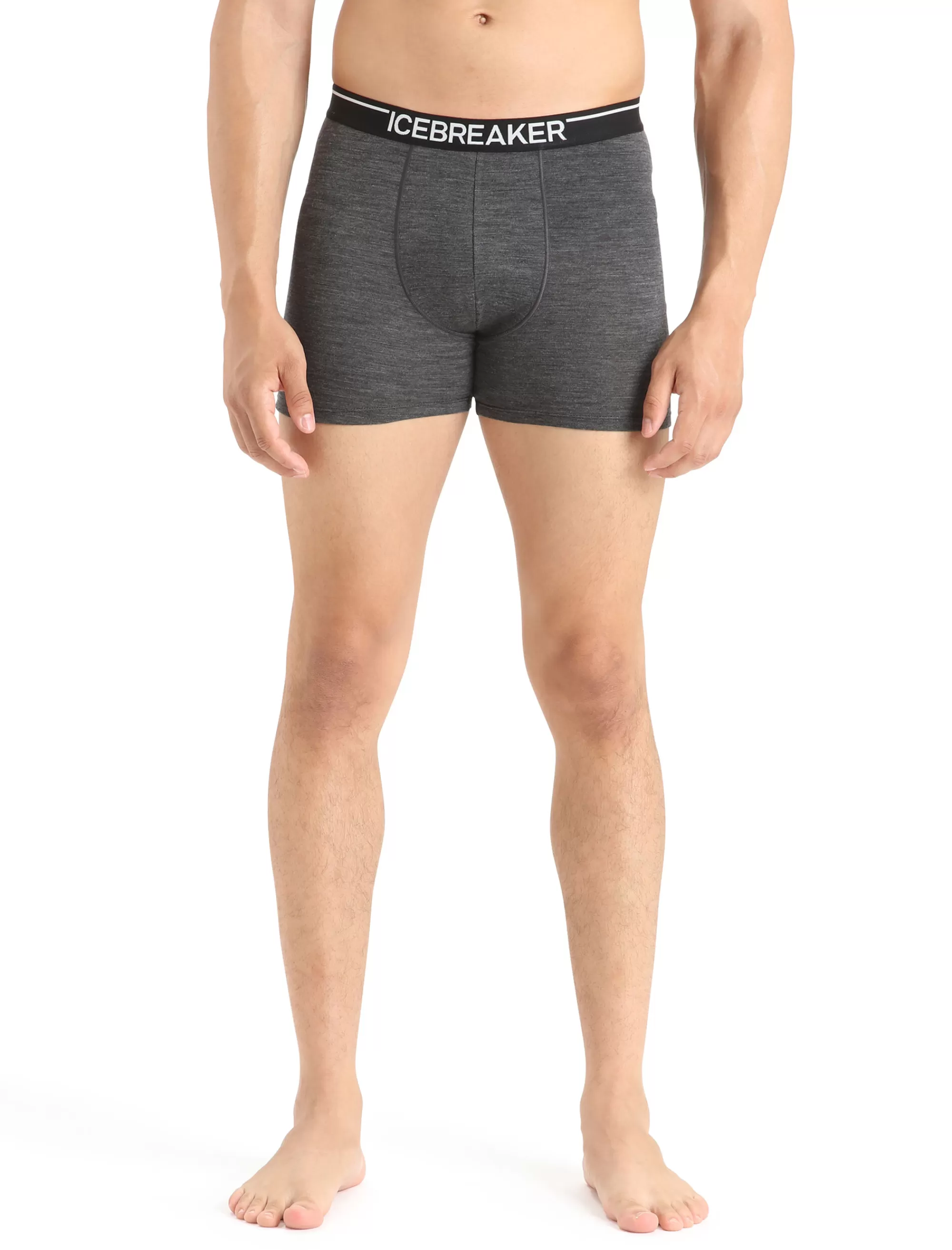 New Icebreaker Merino Anatomica Boxershorts Herren Jet Heather