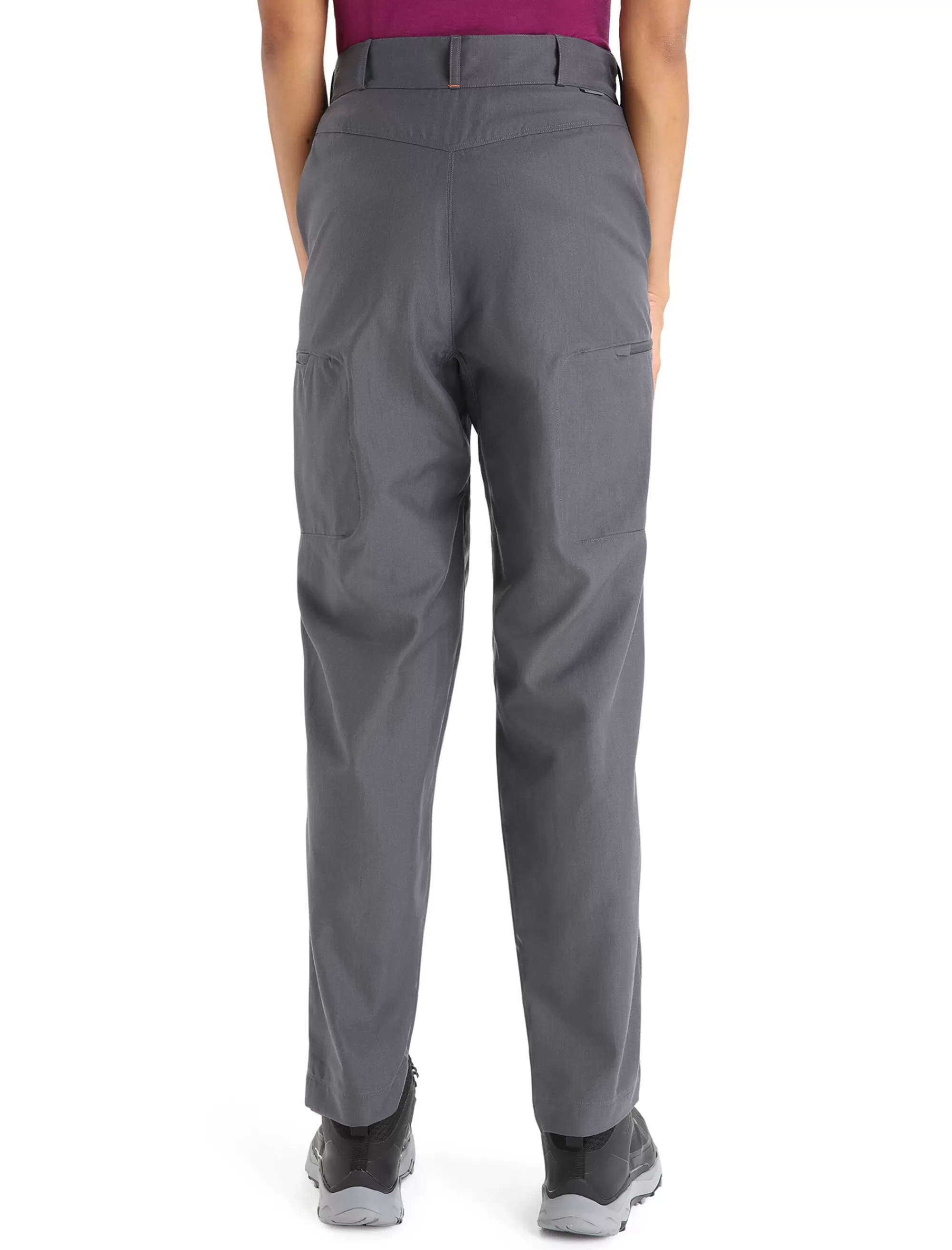 Flash Sale Icebreaker Merino Hike Hose Damen Monsoon