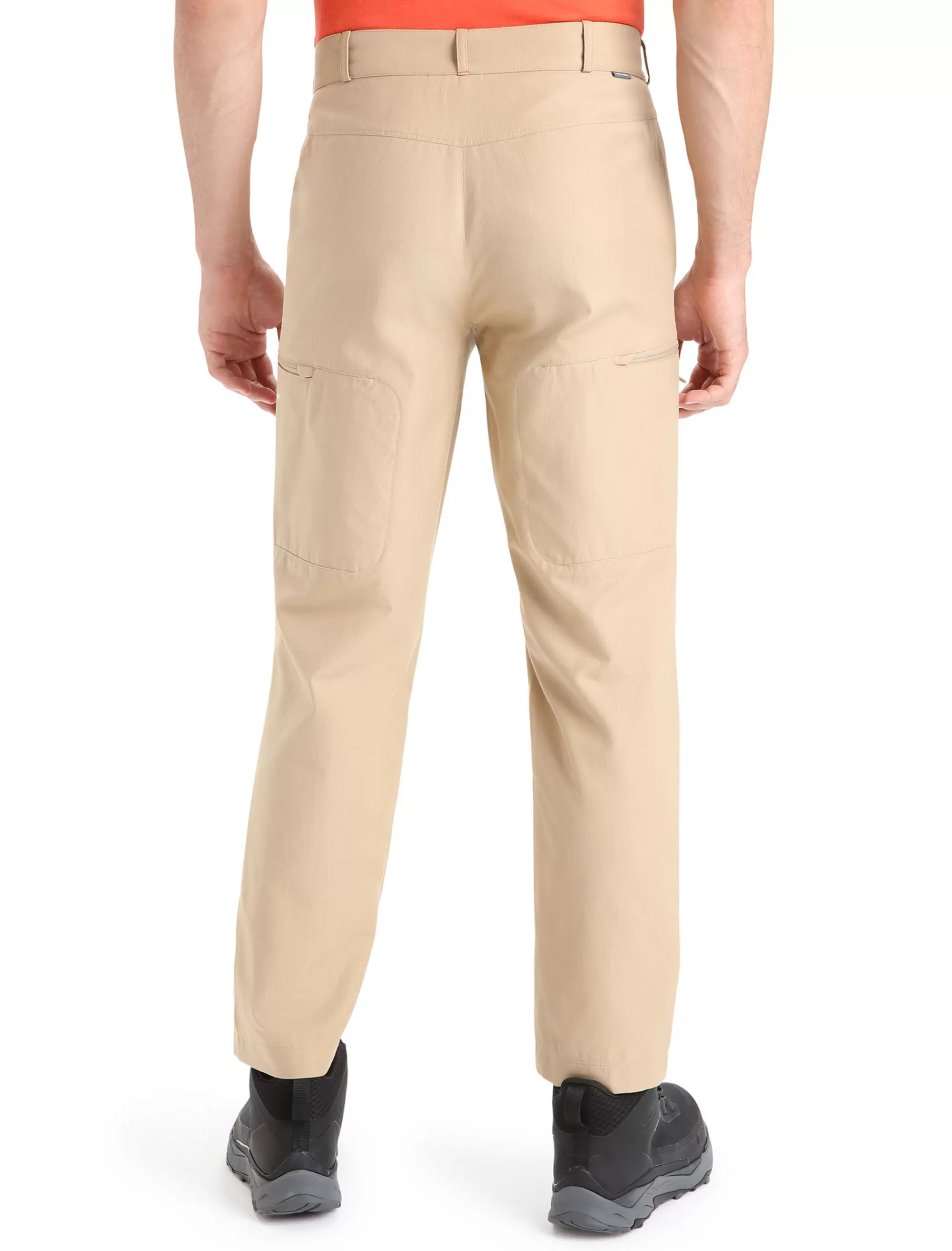 Cheap Icebreaker Merino Hike Hose Herren Sand