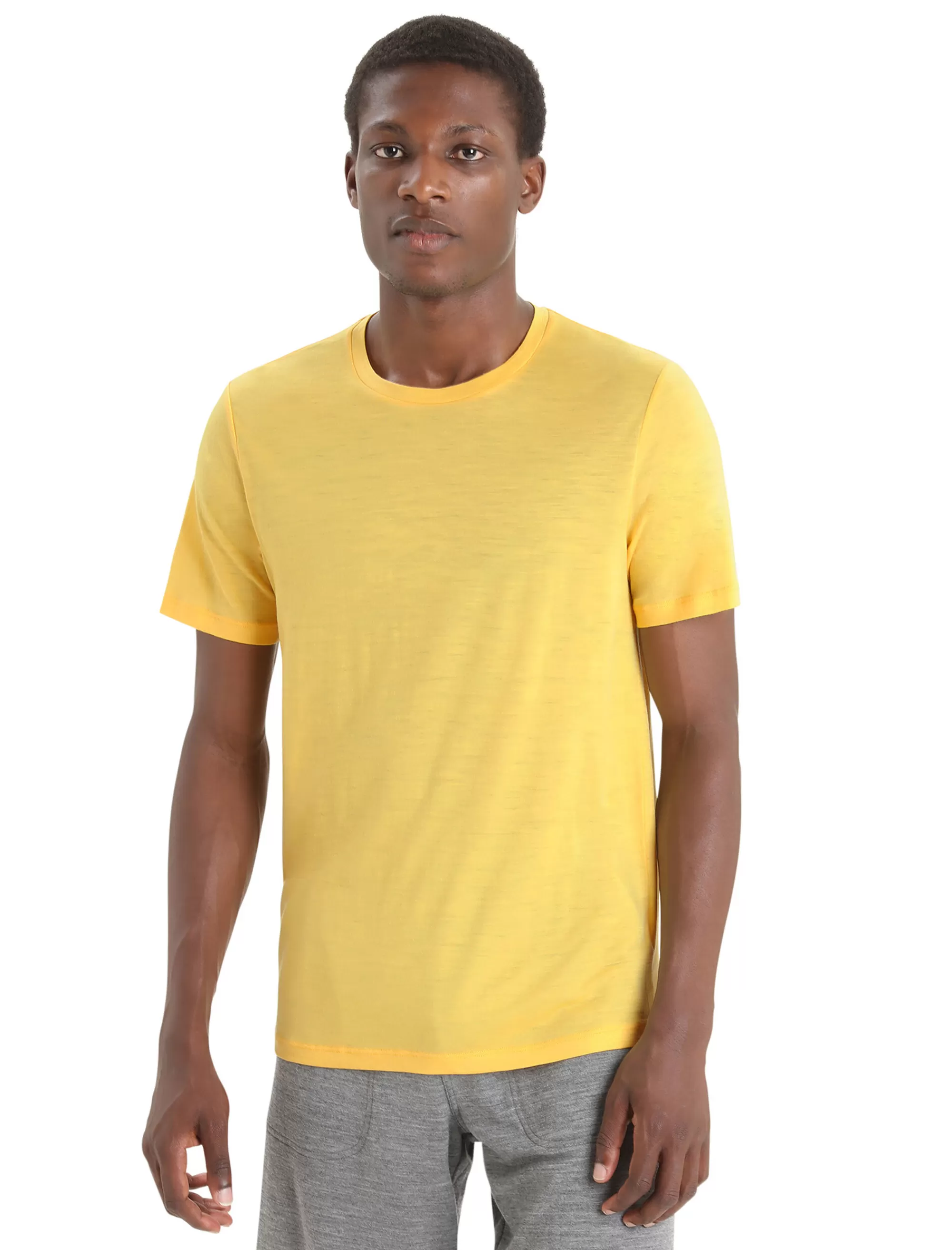 Shop Icebreaker Merino Tech Lite Ii T-Shirt Herren Summer