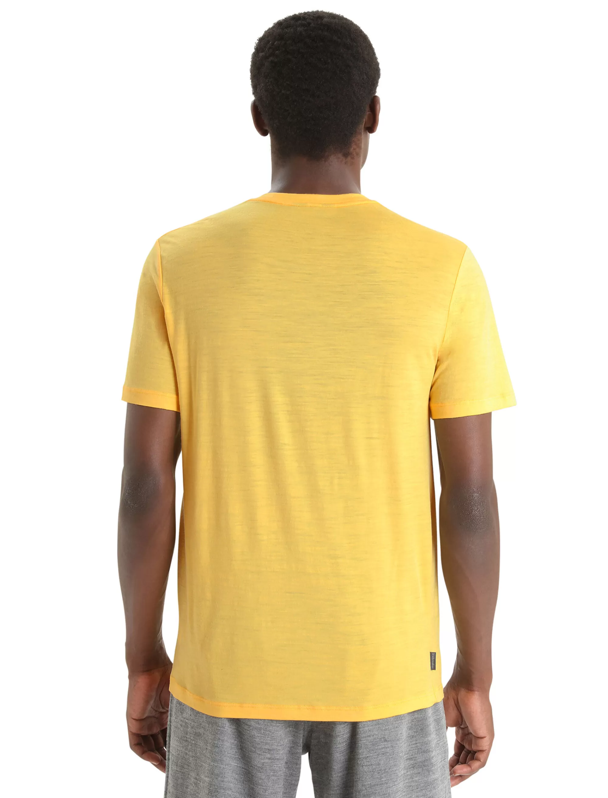 Shop Icebreaker Merino Tech Lite Ii T-Shirt Herren Summer