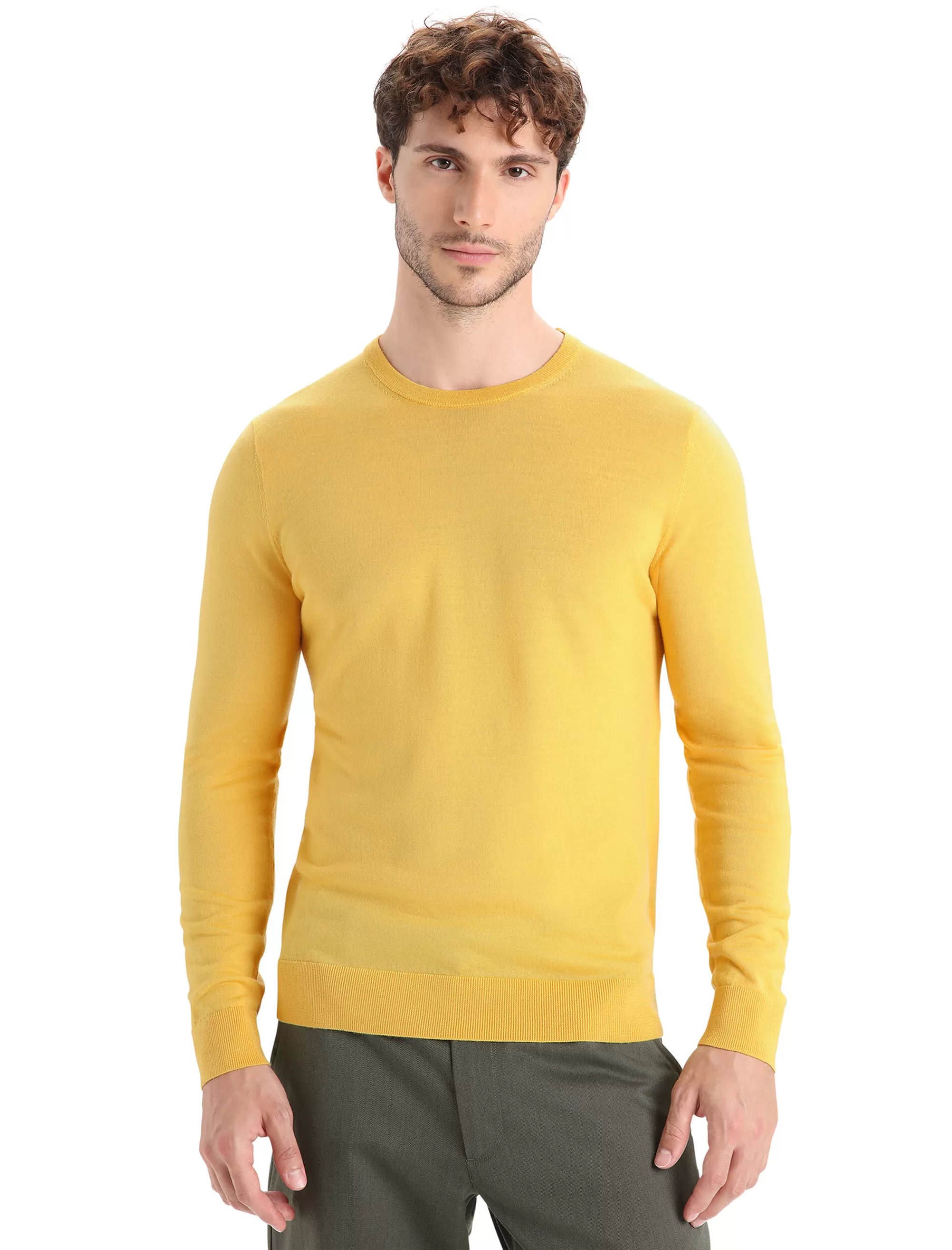 Cheap Icebreaker Merino Wilcox Sweater Herren Summer